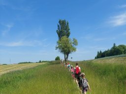 b_1024_768_0_00_images_2022_2023_1-3_AkademiaMalych_rajd_352327843_1207612396601126_3809275057218075448_n